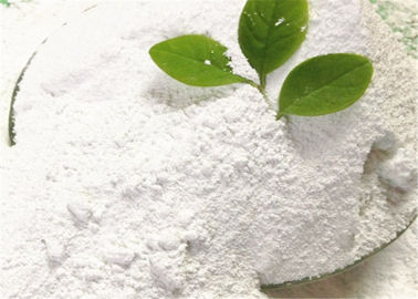 China Geruchloses weißes Titandioxid-Rutil-Pigment, industrielles Pigment des Grad-Tio2 fournisseur