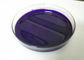 Violette Pigment-Pasten-hohe Farbstärke SGS MSDS PU-5v Bescheinigung COA TDS fournisseur